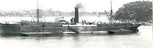 Australpool ex Straithairly